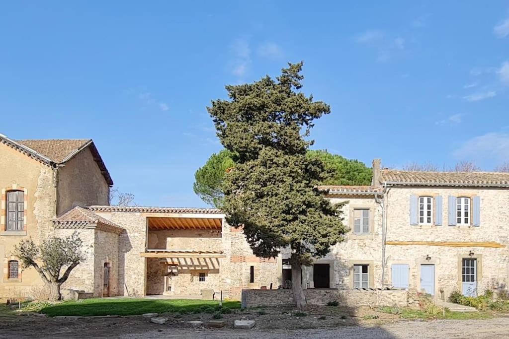 Domaine Villecarla Villedubert Exteriér fotografie