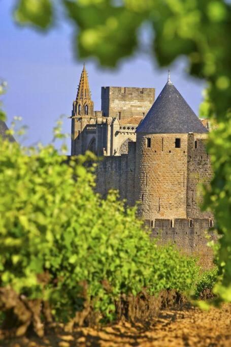 Domaine Villecarla Villedubert Exteriér fotografie